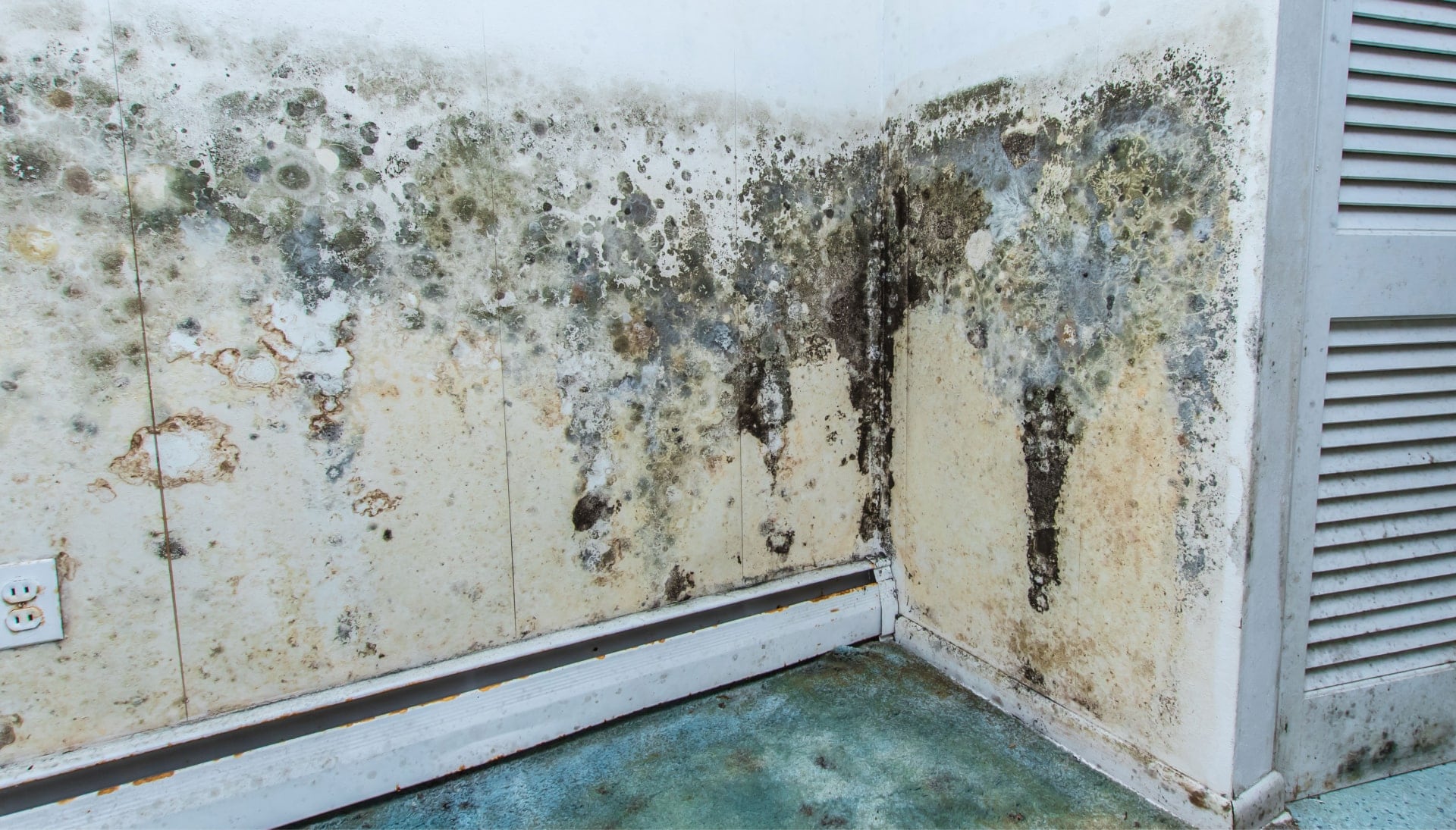 A mold remediation team using specialized techniques to remove mold damage and control odors in a Lauderhill property, with a focus on safety and efficiency